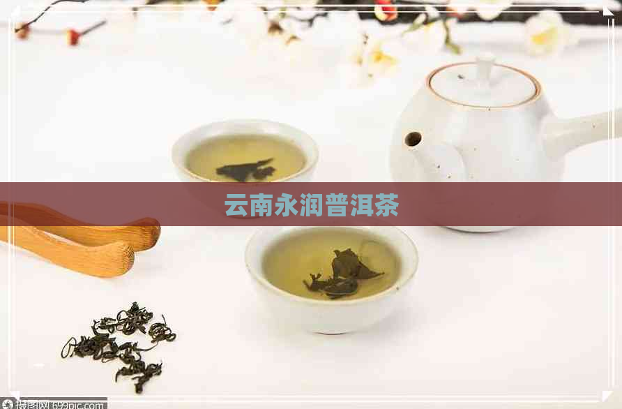 云南永润普洱茶