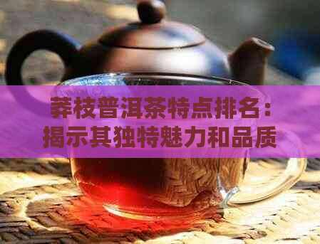 莽枝普洱茶特点排名：揭示其独特魅力和品质