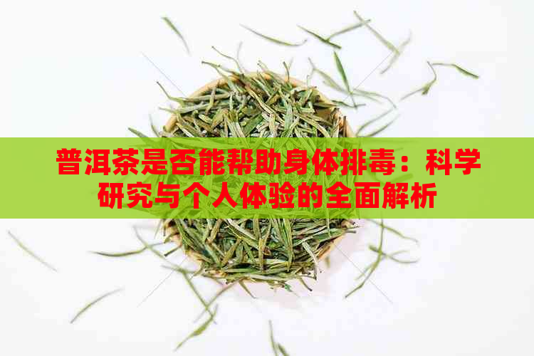 普洱茶是否能帮助身体排：科学研究与个人体验的全面解析