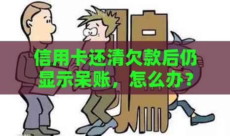 信用卡还清欠款后仍显示呆账，怎么办？