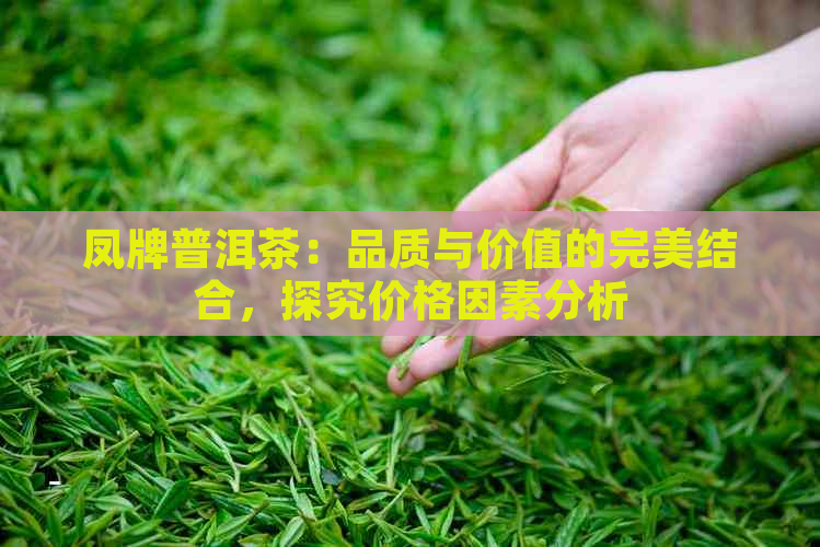 凤牌普洱茶：品质与价值的完美结合，探究价格因素分析