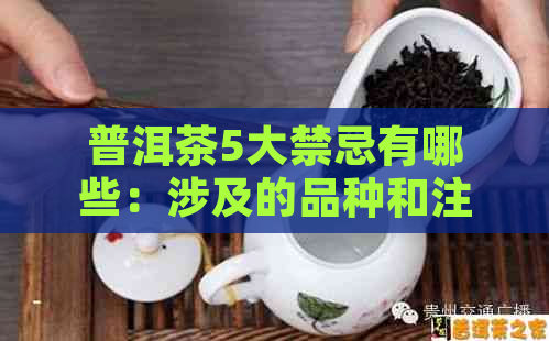 普洱茶5大禁忌有哪些：涉及的品种和注意事项