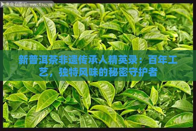 新普洱茶非遗传承人精英录：百年工艺，独特风味的秘密守护者