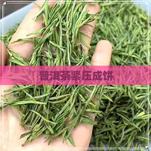 普洱茶紧压成饼