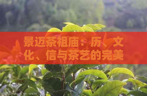 景迈茶祖庙：历、文化、信与茶艺的完美融合