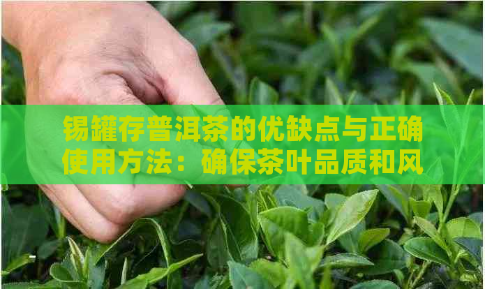 锡罐存普洱茶的优缺点与正确使用方法：确保茶叶品质和风味