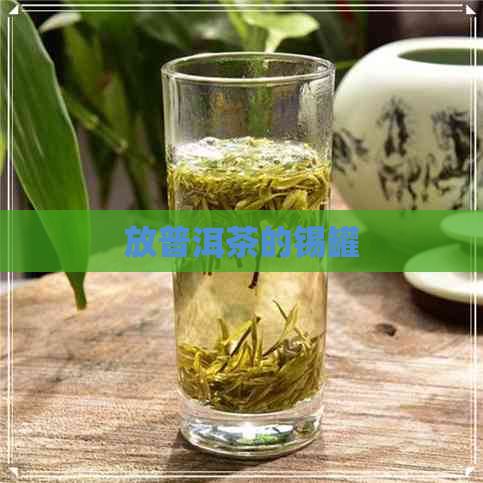 放普洱茶的锡罐