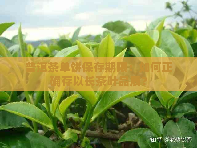 普洱茶单饼保存期限：如何正确存以长茶叶品质？