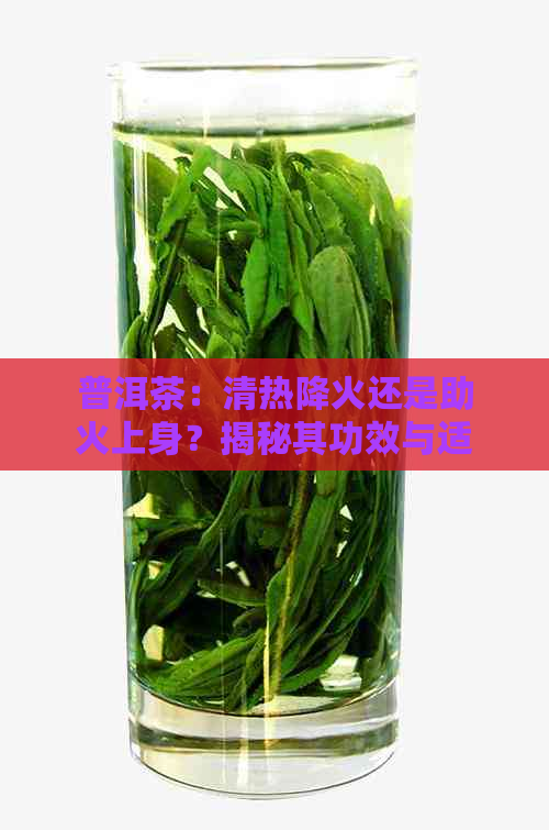 普洱茶：清热降火还是助火上身？揭秘其功效与适用人群