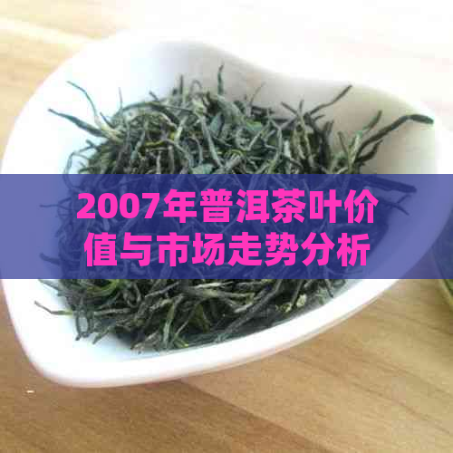 2007年普洱茶叶价值与市场走势分析