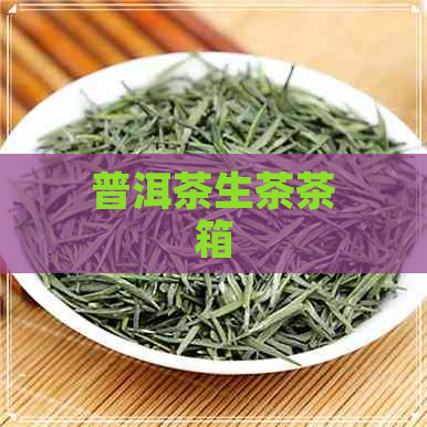 普洱茶生茶茶箱