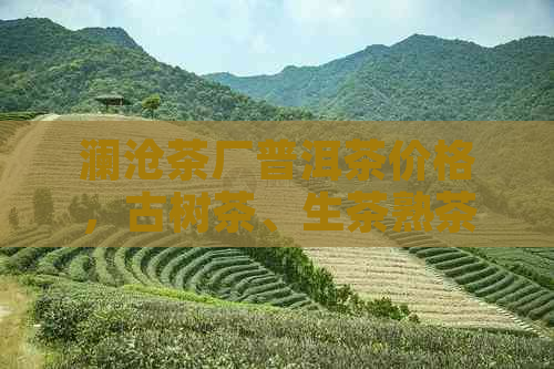 澜沧茶厂普洱茶价格，古树茶、生茶熟茶、收藏价值分析