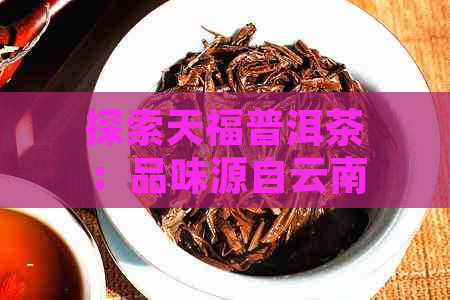 探索天福普洱茶：品味源自云南景迈山青饼的独特魅力，纯正生茶口感令人惊艳