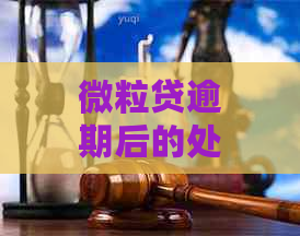 微粒贷逾期后的处理策略：最解决方案与影响分析