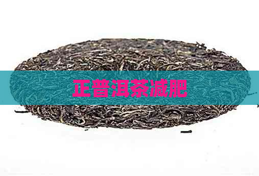 正普洱茶减肥