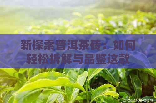 新探索普洱茶砖：如何轻松拆解与品鉴这款中国经典茶叶