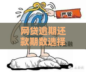 网贷逾期还款期数选择指南：如何制定最合适的还款计划？