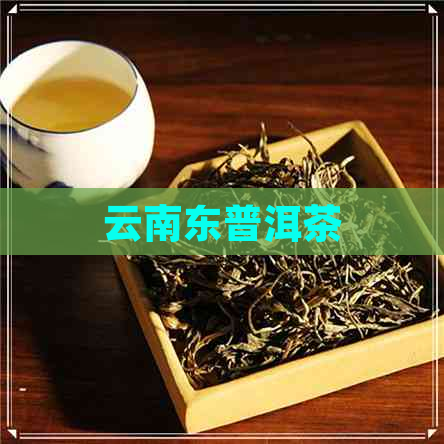 云南东普洱茶