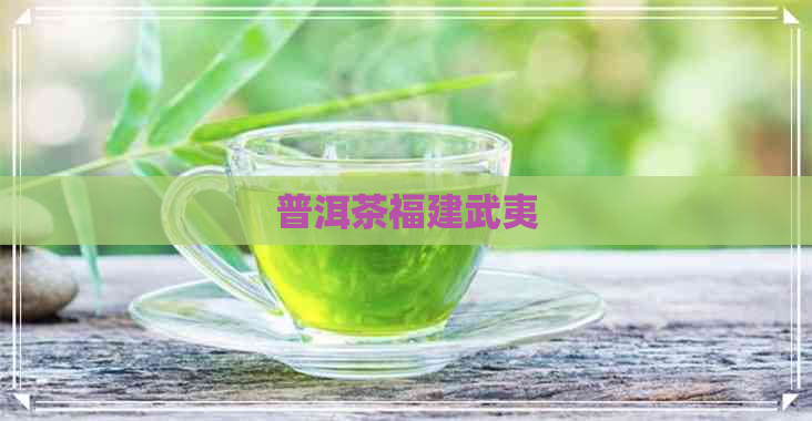 普洱茶福建武夷