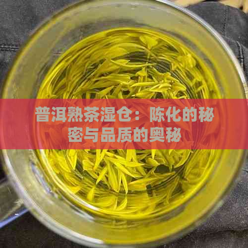 普洱熟茶湿仓：陈化的秘密与品质的奥秘