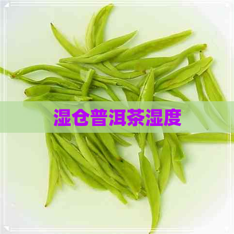 湿仓普洱茶湿度