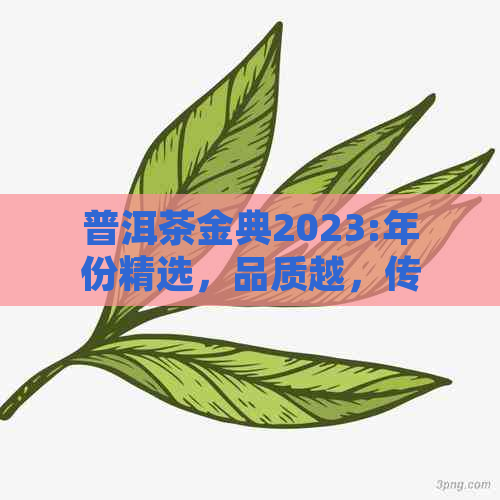 普洱茶金典2023:年份精选，品质越，传承经典，9号熟茶品鉴