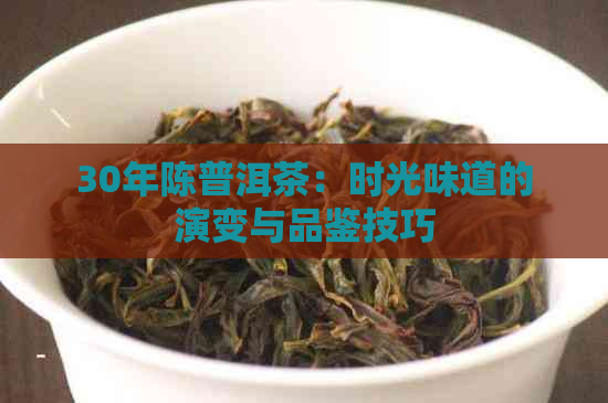 30年陈普洱茶：时光味道的演变与品鉴技巧