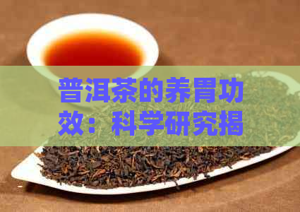 普洱茶的养胃功效：科学研究揭示其熟茶对胃肠健的益处