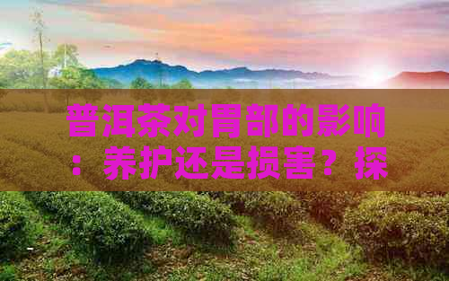 普洱茶对胃部的影响：养护还是损害？探索真相与建议