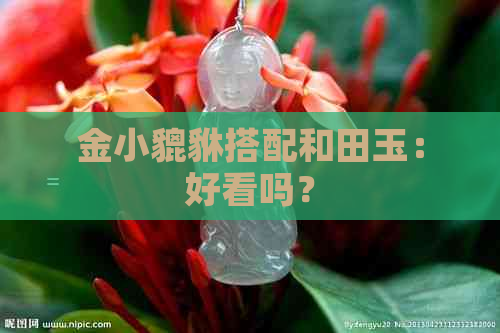 金小貔貅搭配和田玉：好看吗？