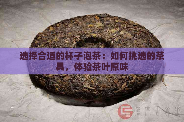 选择合适的杯子泡茶：如何挑选的茶具，体验茶叶原味