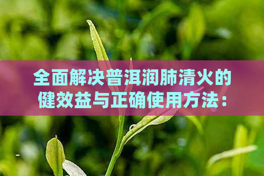 全面解决普洱润肺清火的健效益与正确使用方法：一篇详细的指南