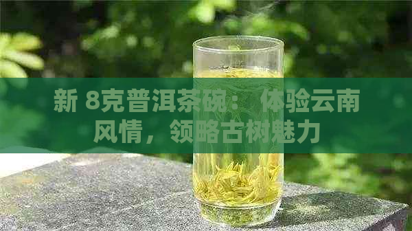 新 8克普洱茶碗： 体验云南风情，领略古树魅力