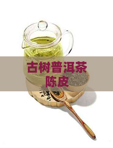 古树普洱茶陈皮