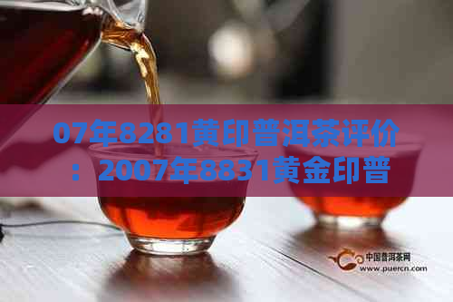 07年8281黄印普洱茶评价：2007年8831黄金印普洱茶价格