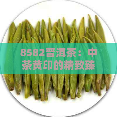 8582普洱茶：中茶黄印的精致臻品，源自古树的独特魅力与纯正口感