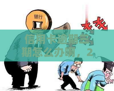 信用卡逾期三期怎么办啊，2021年最新解决方案，逾期3天、3期没还怎么处理