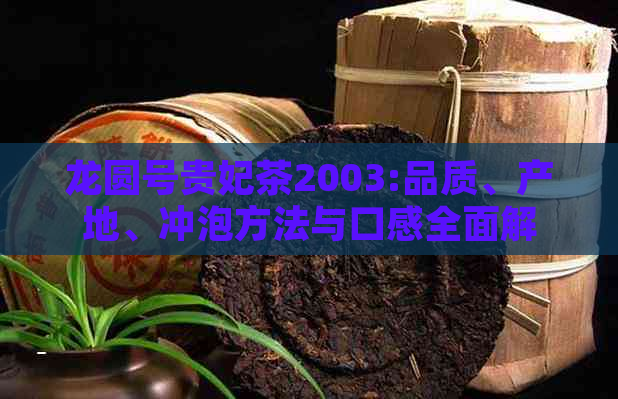 龙圆号贵妃茶2003:品质、产地、冲泡方法与口感全面解析