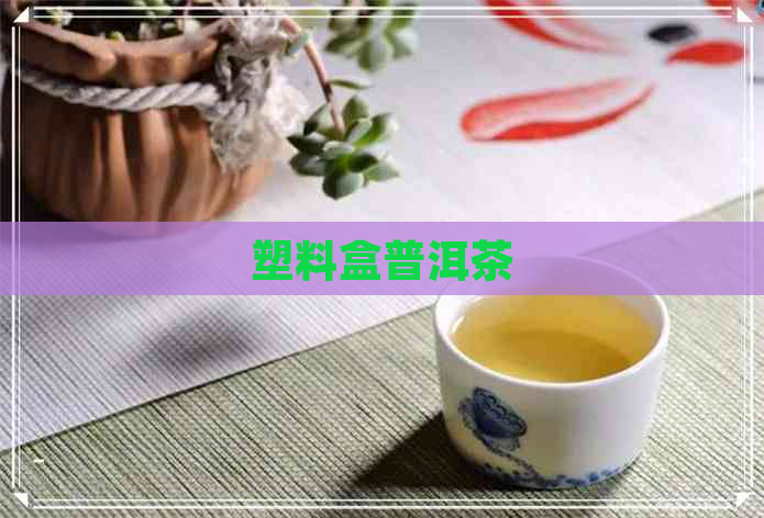 塑料盒普洱茶