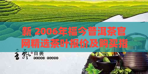 新 2006年福今普洱茶官网精选茶叶报价及购买指南