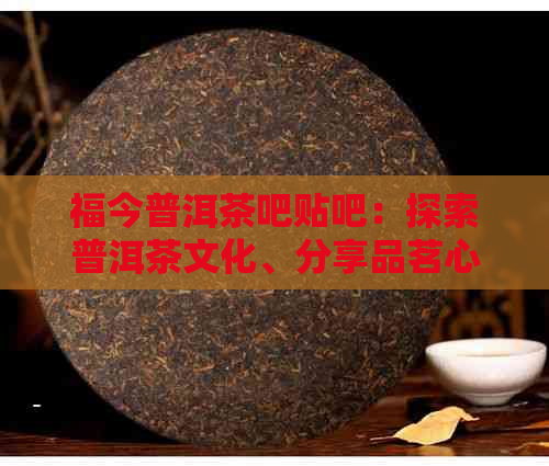 福今普洱茶吧贴吧：探索普洱茶文化、分享品茗心得、交流收藏经验