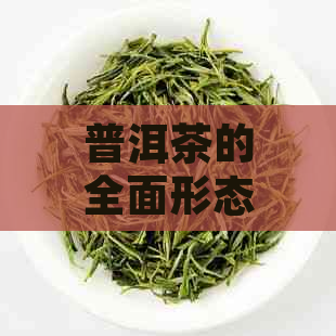 普洱茶的全面形态特征：从外形、香气、口感到品鉴方法的全方位解析