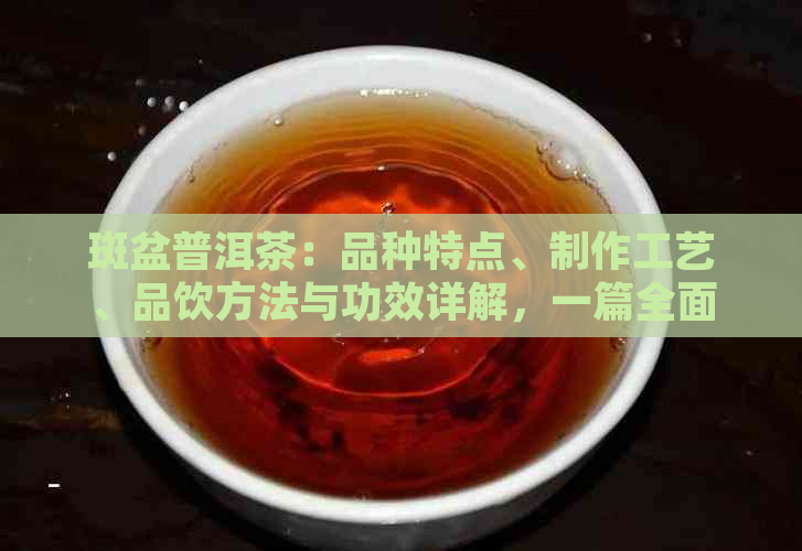 斑盆普洱茶：品种特点、制作工艺、品饮方法与功效详解，一篇全面了解的指南