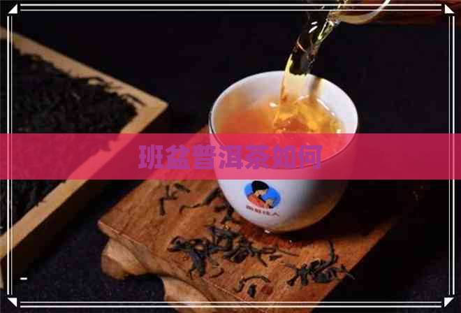 班盆普洱茶如何