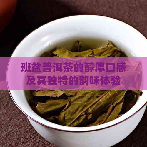 班盆普洱茶的醇厚口感及其独特的韵味体验