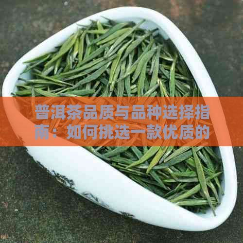 普洱茶品质与品种选择指南：如何挑选一款优质的普洱茶？