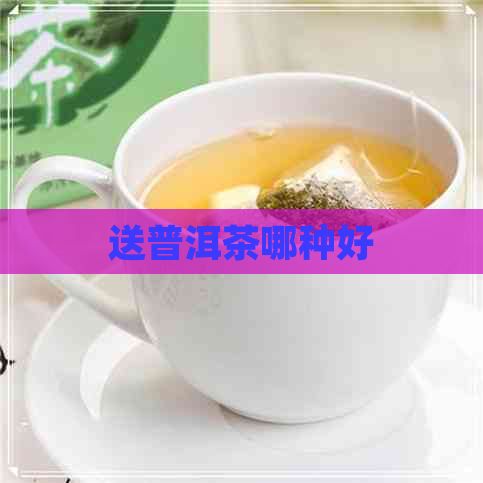 送普洱茶哪种好