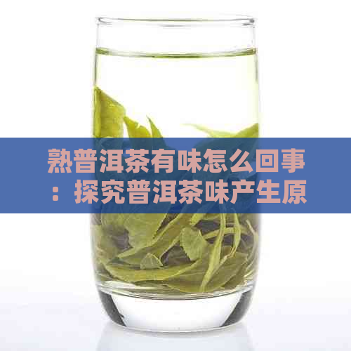 熟普洱茶有味怎么回事：探究普洱茶味产生原因