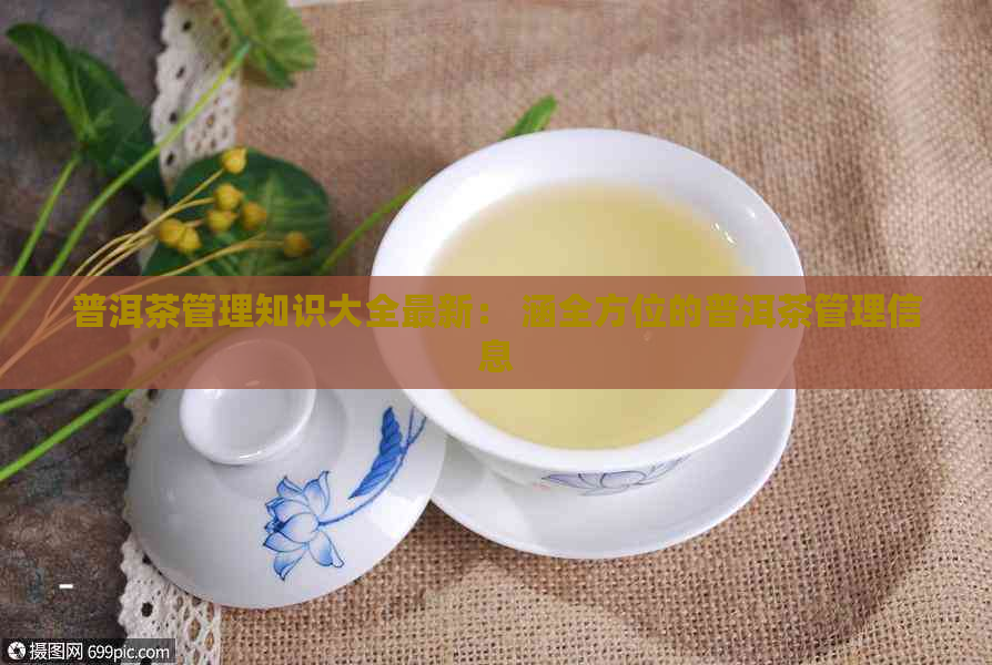 普洱茶管理知识大全最新： 涵全方位的普洱茶管理信息