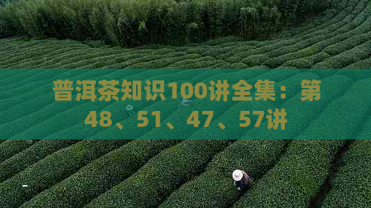 普洱茶知识100讲全集：第48、51、47、57讲